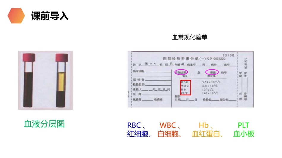 《流动的组织-血液》PPT精品课件[人教版七年级生物下册]_第3页