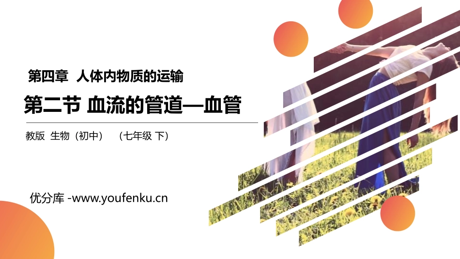 《血流的管道-血管》PPT精品课件[人教版七年级生物下册]_第1页