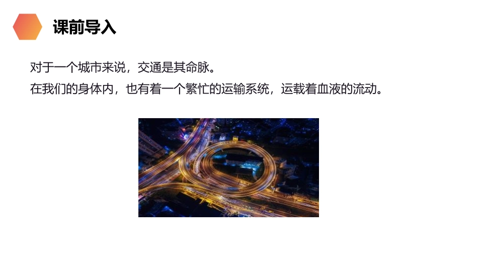 《血流的管道-血管》PPT精品课件[人教版七年级生物下册]_第2页