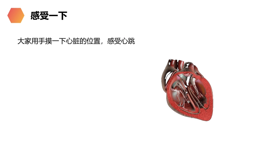 《输送血液的泵-心脏》PPT精品课件[人教版七年级生物]_第3页