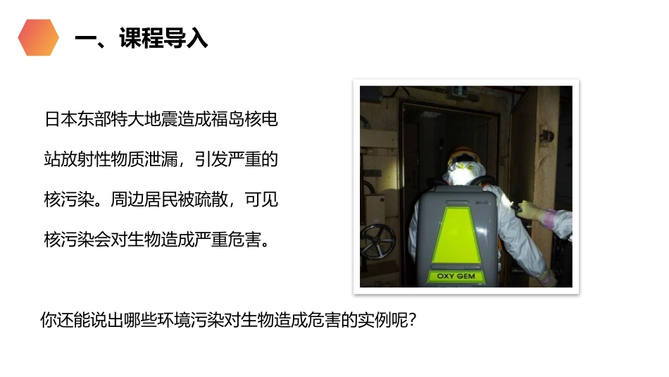 《探究环境污染对生物的影响》PPT精品课件[人教版七年级生物]_第2页