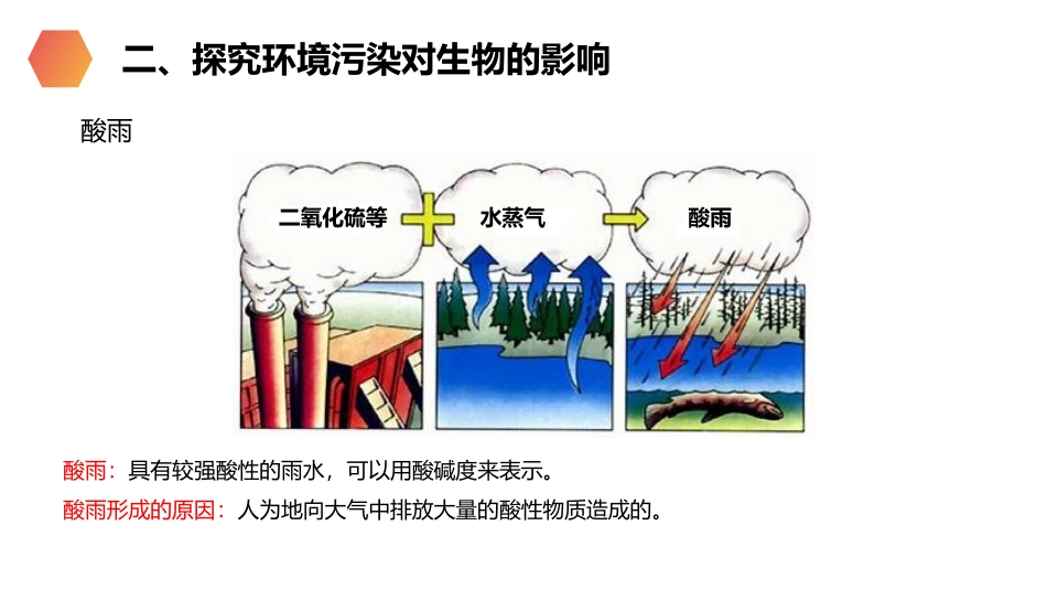 《探究环境污染对生物的影响》PPT精品课件[人教版七年级生物]_第3页