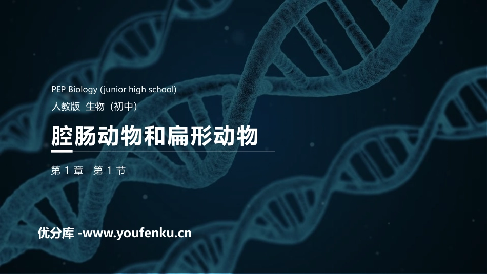 《腔肠动物和扁形动物》PPT精品课件[人教版八年级生物上册]_第1页