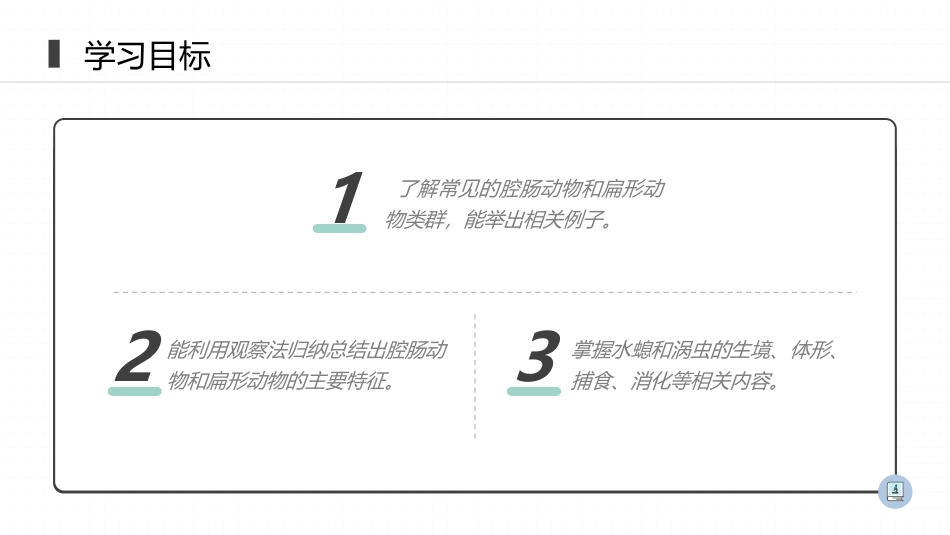《腔肠动物和扁形动物》PPT精品课件[人教版八年级生物上册]_第2页