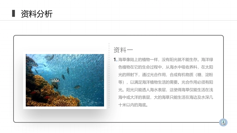 《腔肠动物和扁形动物》PPT精品课件[人教版八年级生物上册]_第3页