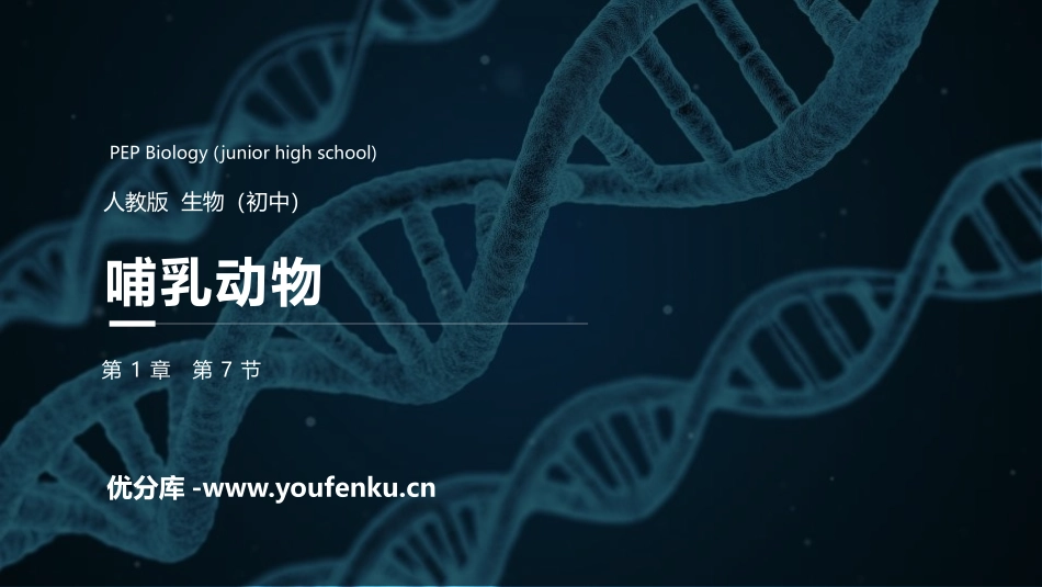 《哺乳动物》PPT精品课件[人教版八年级生物上册]_第1页