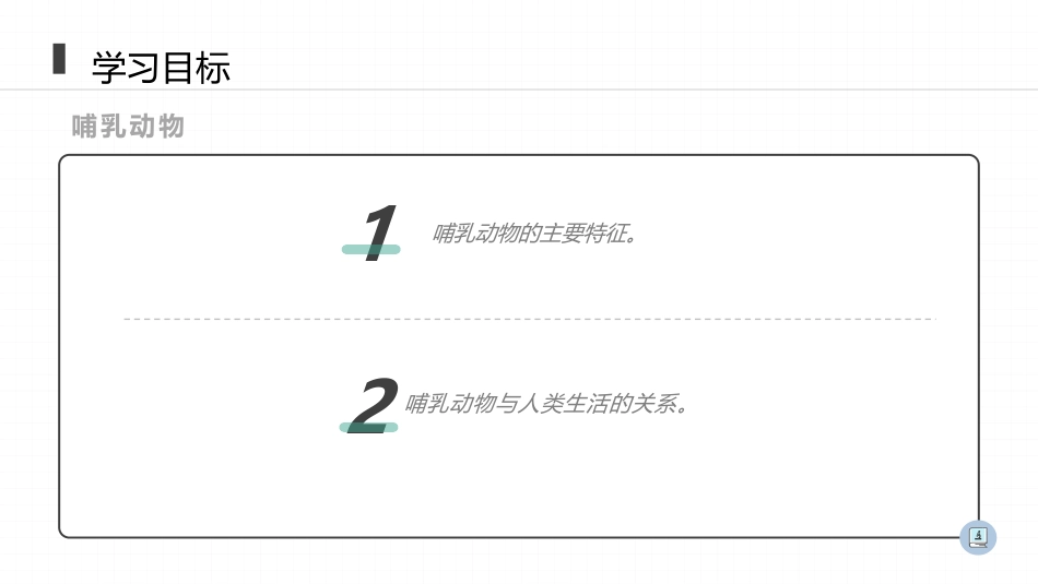 《哺乳动物》PPT精品课件[人教版八年级生物上册]_第2页