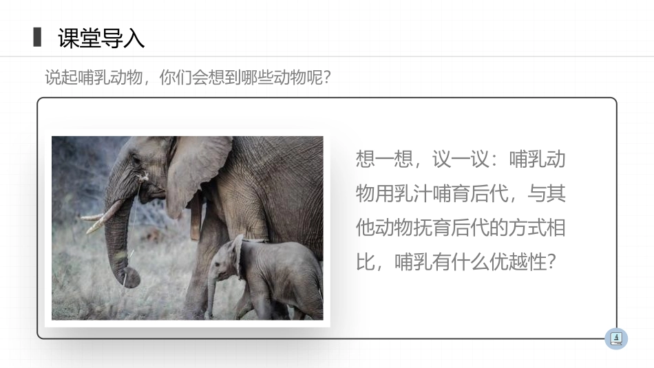 《哺乳动物》PPT精品课件[人教版八年级生物上册]_第3页