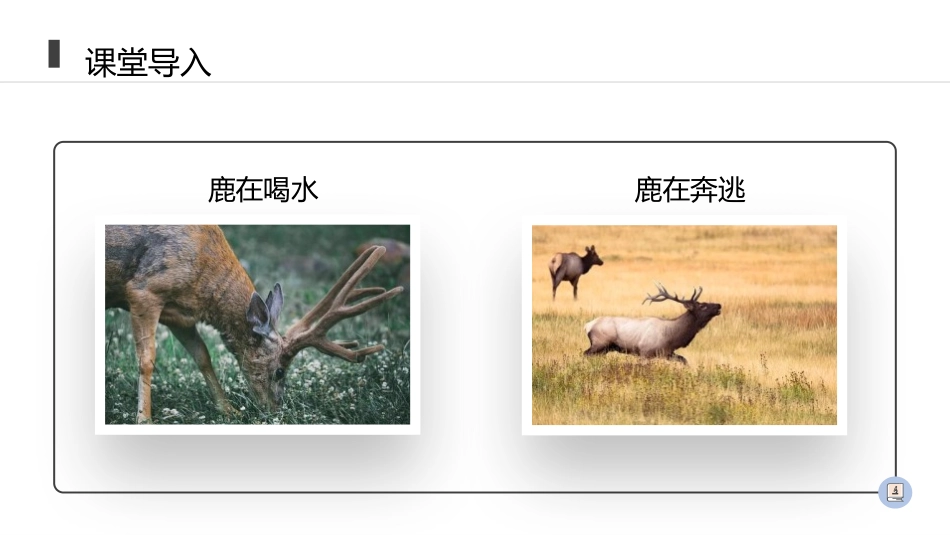 《动物的运动》PPT精品课件[人教版八年级生物上册]_第3页