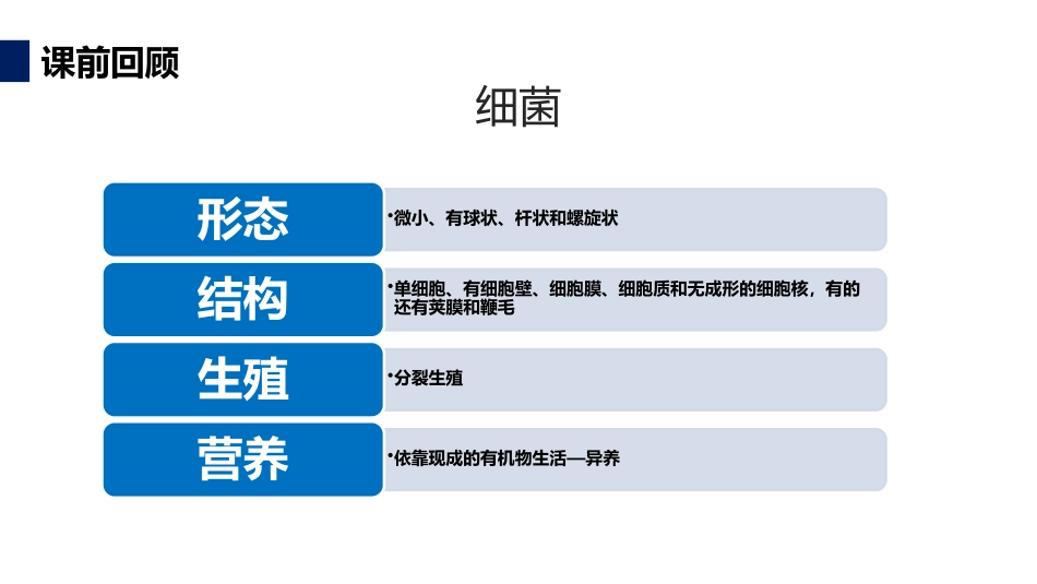 《真菌》PPT精品课件[人教版八年级生物上册]_第3页