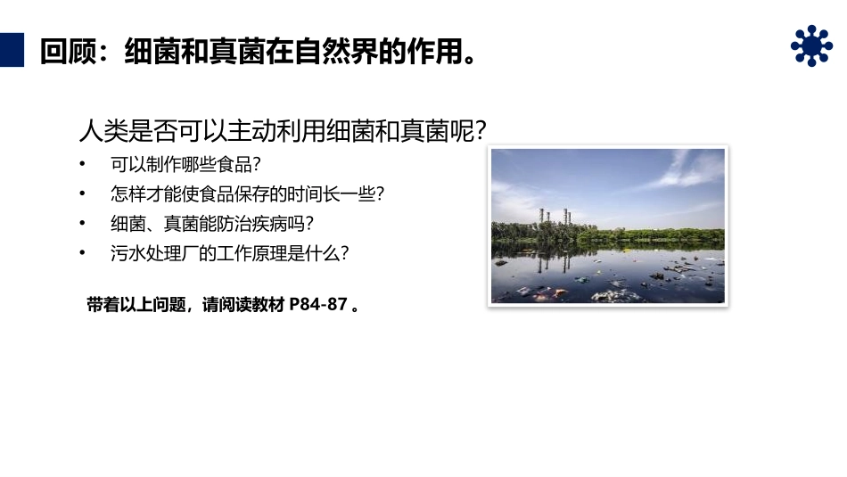 《人类对细菌和真菌的利用》PPT精品课件[人教版八年级生物]_第3页