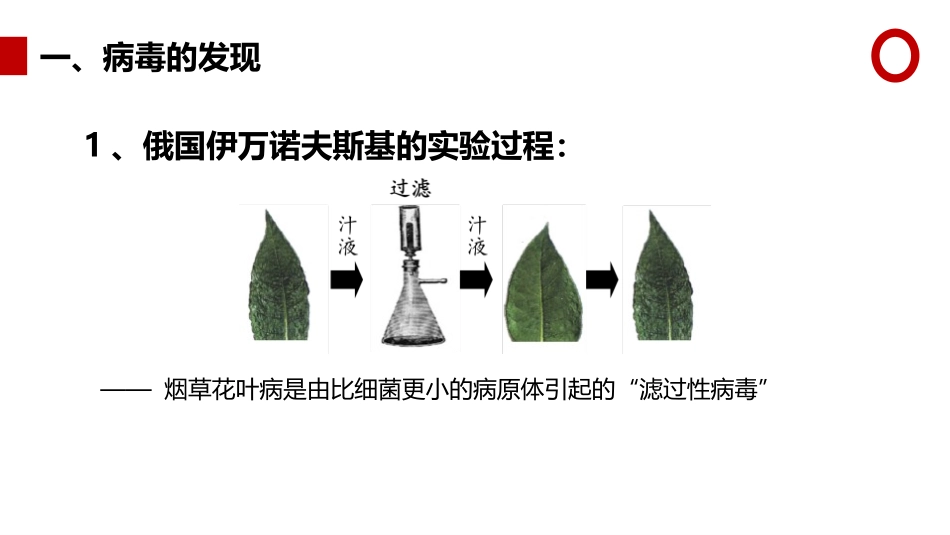 《病毒》PPT精品课件[人教版八年级生物上册]_第2页