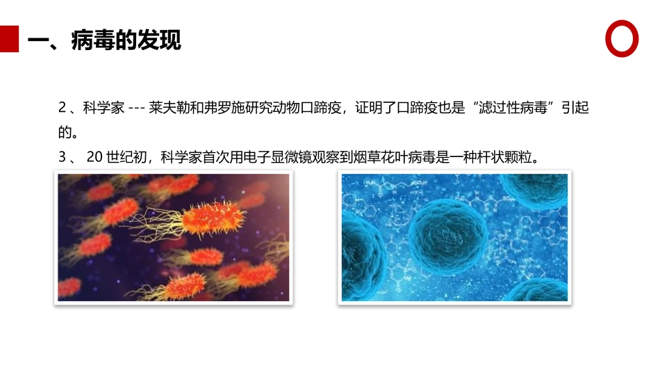 《病毒》PPT精品课件[人教版八年级生物上册]_第3页