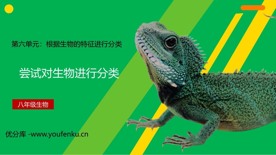 《尝试对生物进行分类》PPT精品课件[人教版八年级生物上册]_第1页