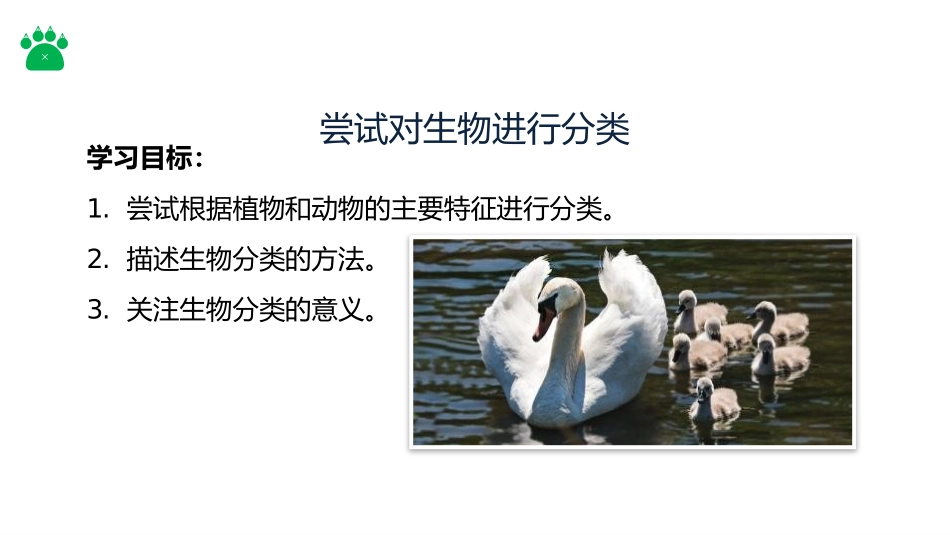 《尝试对生物进行分类》PPT精品课件[人教版八年级生物上册]_第2页