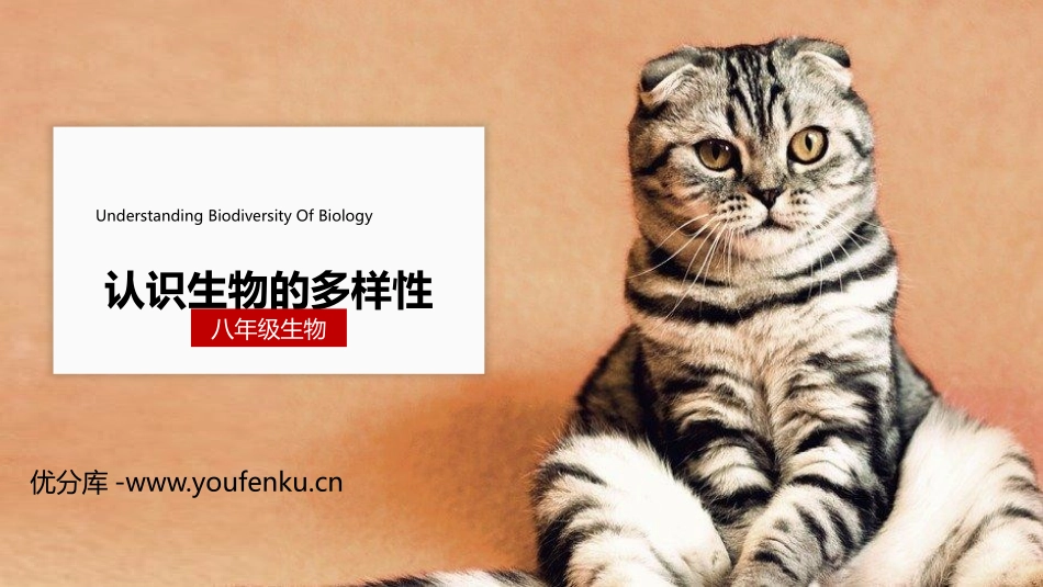 《认识生物的多样性》PPT精品课件[人教版八年级生物上册]_第1页