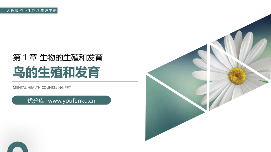 《鸟的生殖和发育》PPT精品课件[人教版八年级生物下册]_第1页