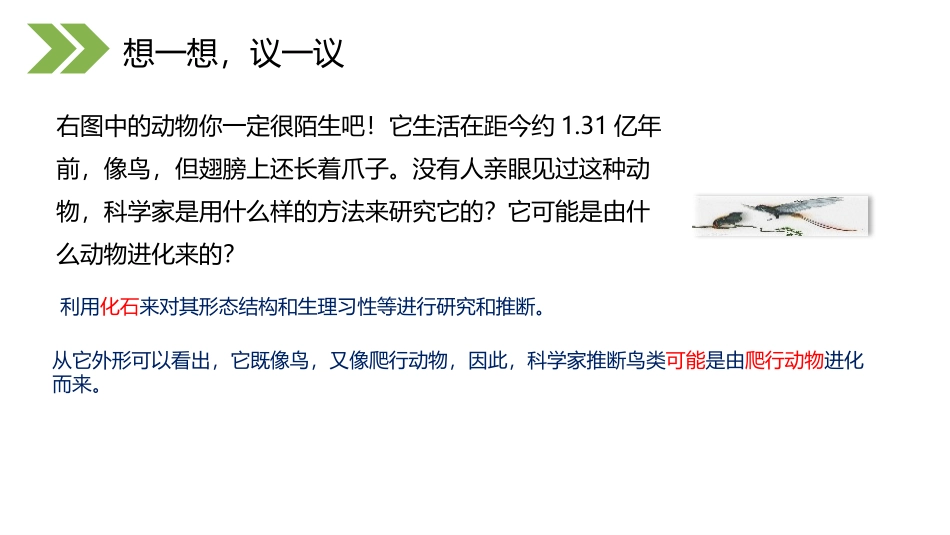 《生物进化的历程》PPT精品课件[人教版八年级生物下册]_第3页