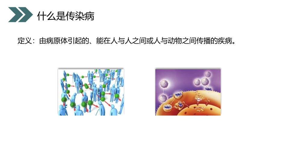 《传染病及其预防》PPT精品课件[人教版八年级生物下册]_第3页
