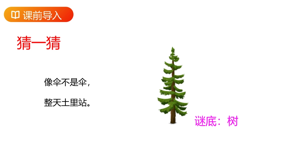 《树之歌》PPT精品课件[部编版二年级语文上册]_第2页