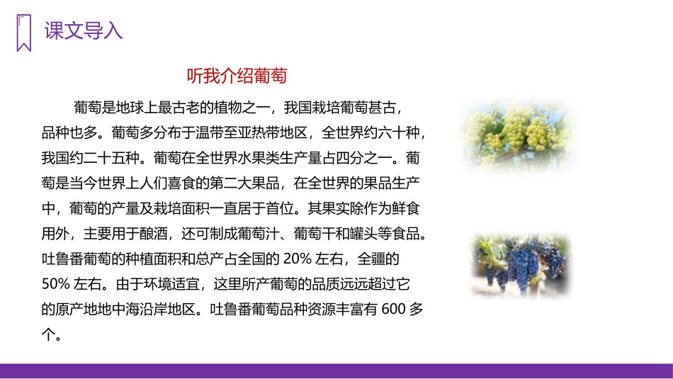 《葡萄沟》PPT精品课件[部编版二年级语文上册]_第3页