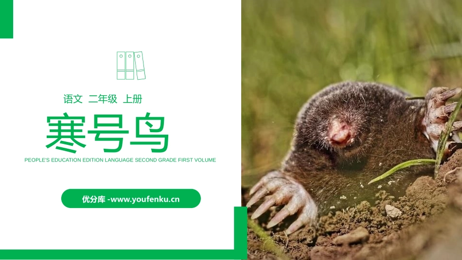 《寒号鸟》PPT精品课件[部编版二年级语文上册]_第1页