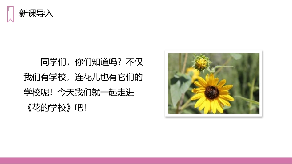 《花的学校》PPT精品课件[部编版三年级语文上册]_第3页