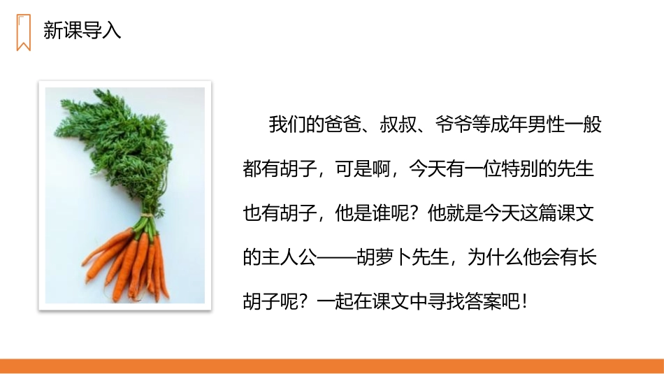 《胡萝卜先生的长胡子》PPT精品课件[部编版三年级语文上册]_第1页