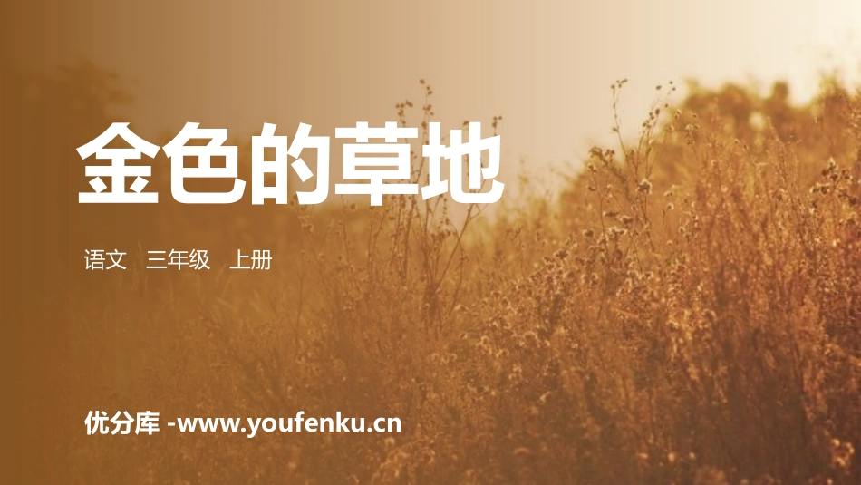 《金色的草地》PPT精品课件[部编版三年级语文上册]_第1页