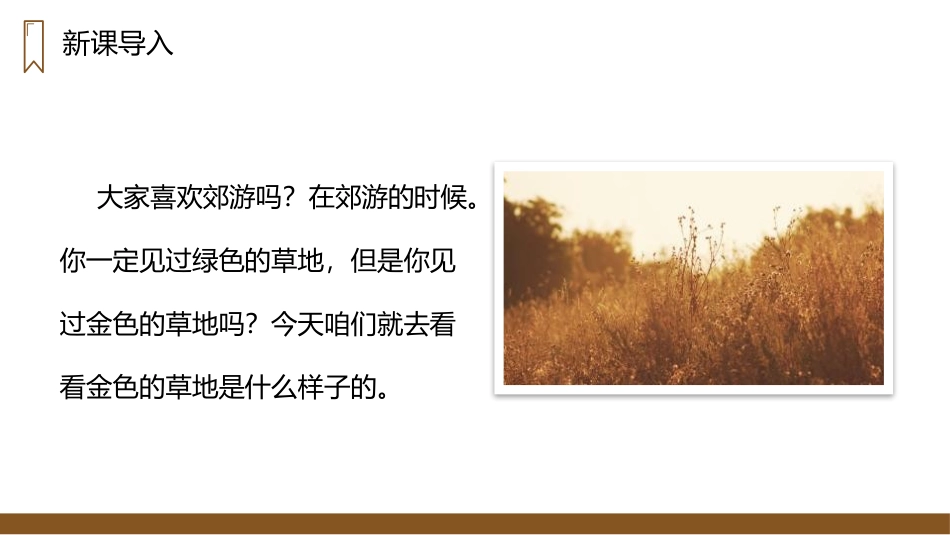 《金色的草地》PPT精品课件[部编版三年级语文上册]_第2页