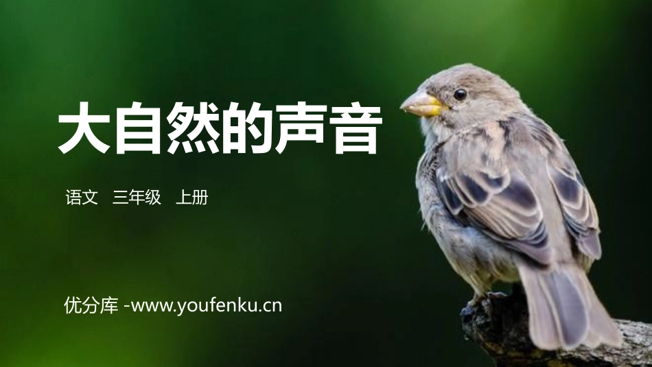 《大自然的声音》PPT精品课件[部编版三年级语文上册]_第1页