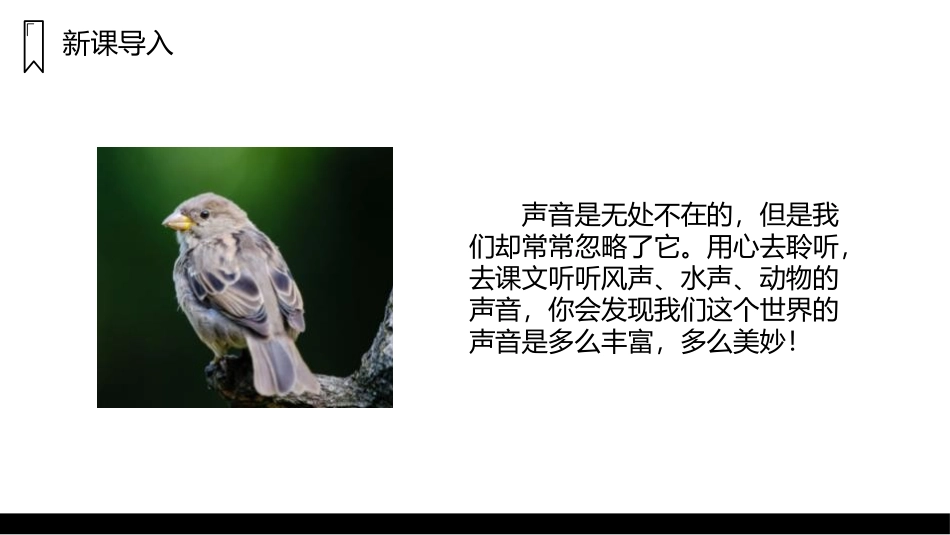 《大自然的声音》PPT精品课件[部编版三年级语文上册]_第2页