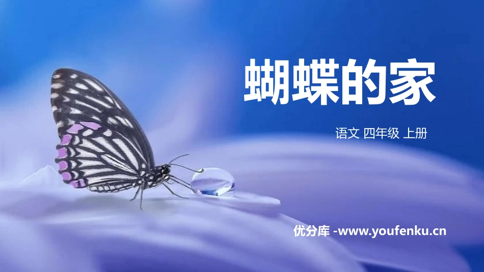《蝴蝶的家》PPT精品课件[部编版四年级语文上册]_第1页