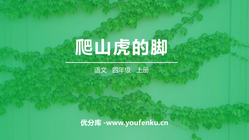 《爬山虎的脚》PPT精品课件[部编版四年级语文上册]_第1页