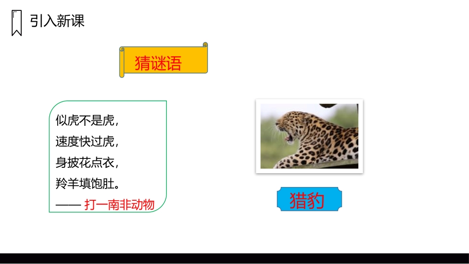 《什么比猎豹的速度更快》PPT精品课件[部编版五年级语文]_第2页