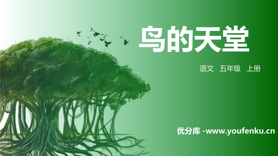 《鸟的天堂》PPT精品课件[部编版五年级语文上册]_第1页