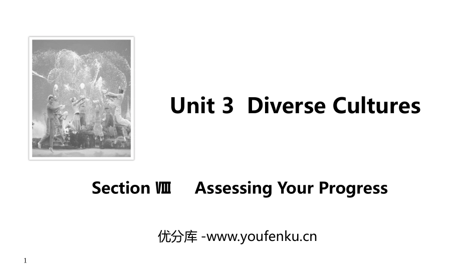 《Diverse Cultures》SectionⅧ PPT课件_第1页