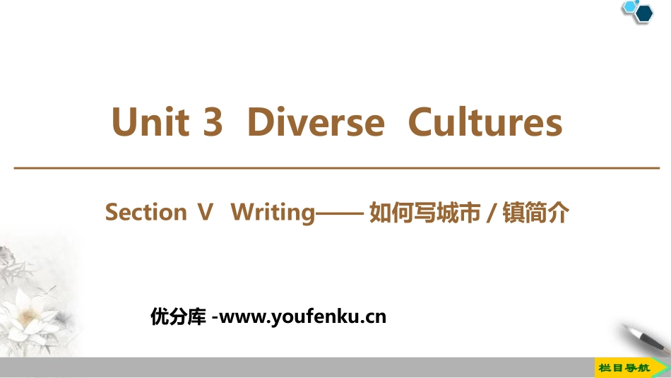 《Diverse Cultures》SectionⅤ PPT课件_第1页