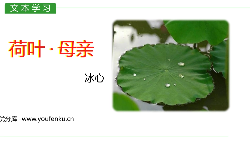 《荷叶·母亲》PPT精品课件[部编版七年级语文上册]_第1页