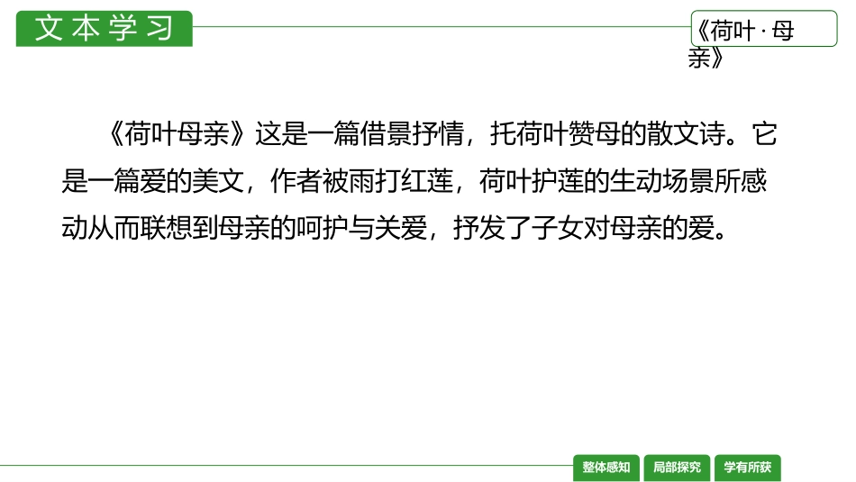 《荷叶·母亲》PPT精品课件[部编版七年级语文上册]_第3页