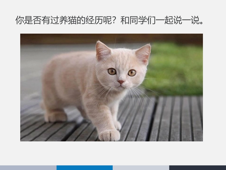《猫》PPT精品课件[部编版七年级语文上册]_第2页