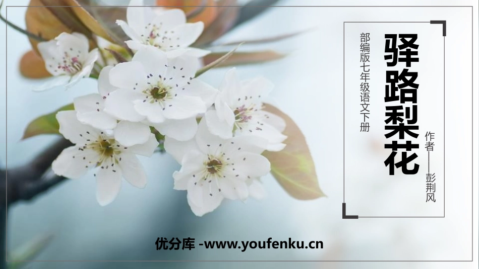 《驿路梨花》PPT精品课件[部编版七年级语文下册]_第1页
