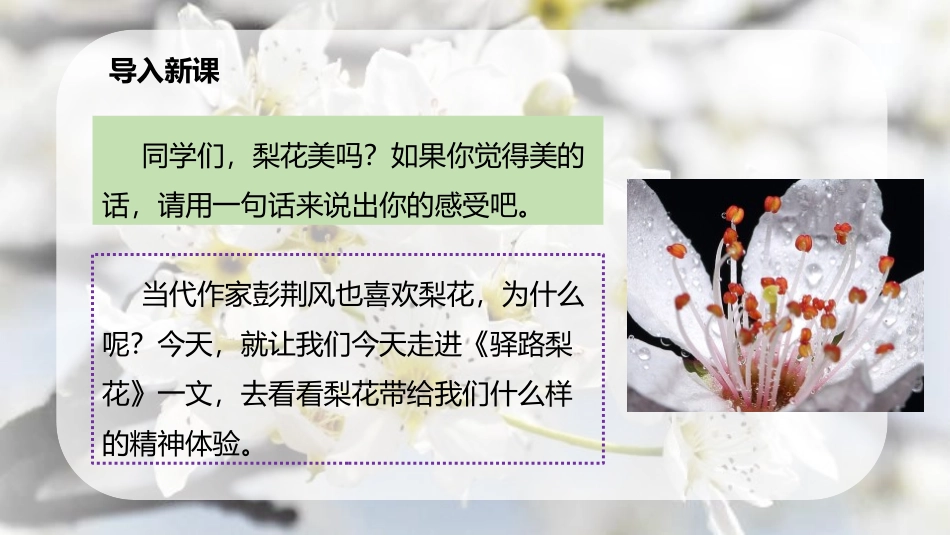 《驿路梨花》PPT优质课件[部编版七年级语文下册]_第3页