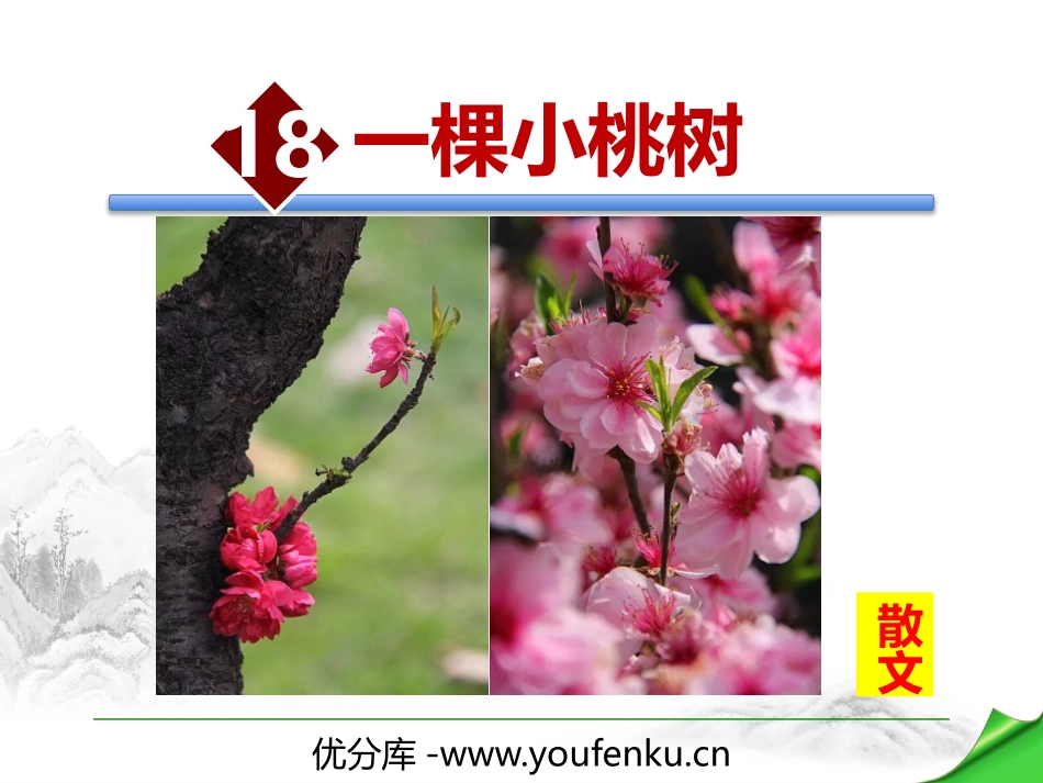 《一棵小桃树》PPT优质课件[部编版七年级语文下册]_第1页