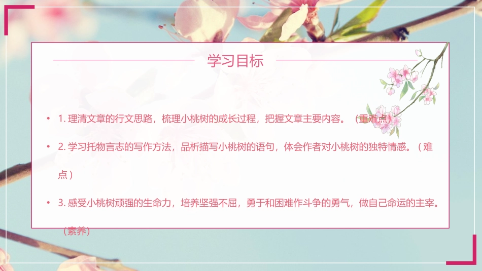 《一棵小桃树》PPT精品课件[部编版七年级语文下册]_第3页
