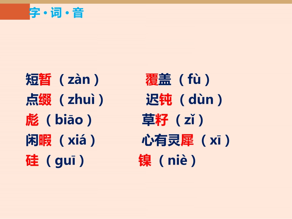 《带上她的眼睛》PPT免费课件[部编版七年级语文下册]_第3页