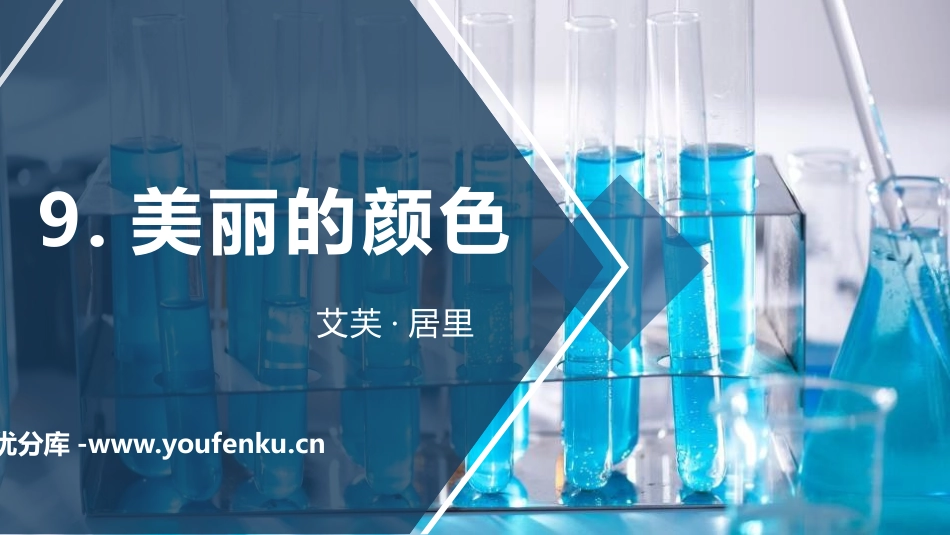 《美丽的颜色》PPT精品课件[部编版八年级语文上册]_第1页