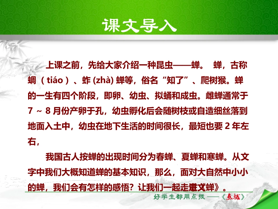 《蝉》PPT优秀课件[部编版八年级语文上册]_第2页
