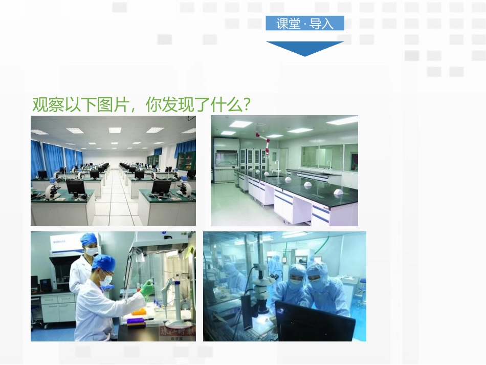 《应有格物致知精神》PPT优秀课件[部编版八年级语文下册]_第2页