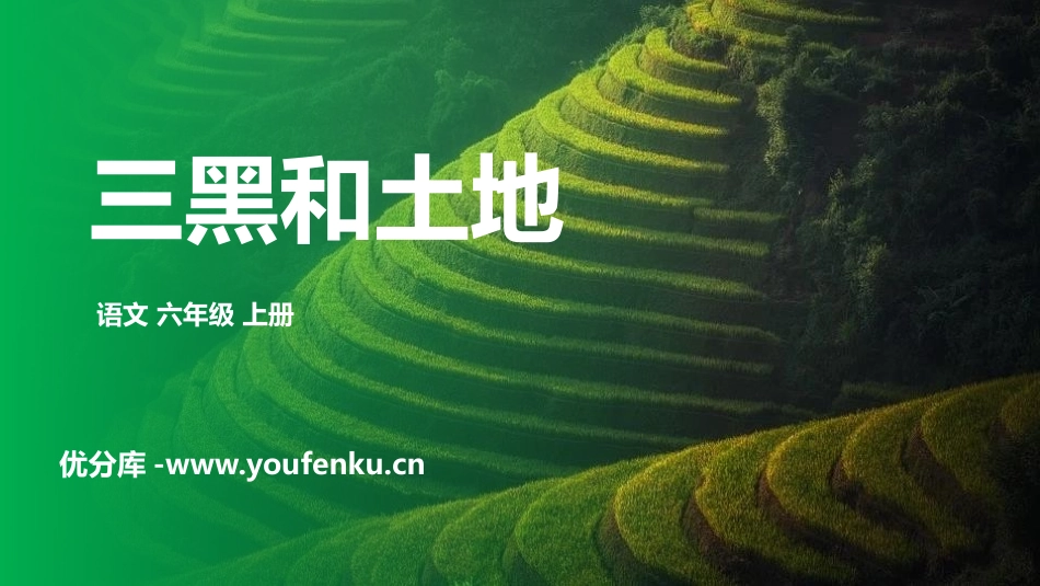 《三黑和土地》PPT优秀课件[部编版六年级语文上册]_第1页